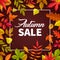 Autumn sale vector poster, fallen leaves offer