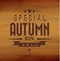 Autumn sale wooden background