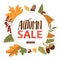 Autumn sales banner template. Various types of leafs, rowan and acorns.