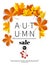 Autumn sales banners for web or print. Fall season sale and discounts banner. Colorful autumn leaves headline and sale