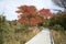 Autumn Saltmarsh