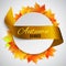 Autumn satin ribbon