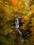 Autumn at Scaleber Force near Settle, North Yorkshire