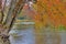 Autumn Scene On Beaver River In Ontario, Canada