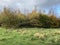 Autumn scene, on the edge of woodland, with a cloudy sky in, Heaton Woods, Bradford, UK