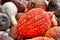 An Autumn Scene of Gourds and Pumpkins of various Textures and Colors