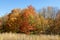 Autumn Scene in Indiana - Fort Harrison State Park