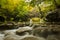 Autumn scene in Nacedero de Urederra river, Navarra, northern Spain