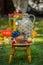 Autumn scene with plants, pumpkins, apples in a wicker basket, ceramic pots, wooden chair, vintage style, composition in the garde