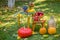 Autumn scene with plants, pumpkins, apples in a wicker basket, ceramic pots, wooden chair, vintage style, composition in the garde