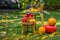 Autumn scene with plants, pumpkins, apples in a wicker basket, ceramic pots, wooden chair, vintage style, composition in the garde