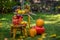 Autumn scene with plants, pumpkins, apples in a wicker basket, ceramic pots, wooden chair, vintage style, composition in the garde