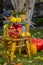 Autumn scene with plants, pumpkins, apples in a wicker basket, ceramic pots, wooden chair, vintage style, composition in the garde