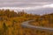 Autumn scene with road in forest