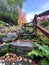 Autumn scene in the Whinfell Quarry Gardens in Sheffield, UK