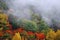 Autumn scenery and cloud and mist