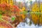 Autumn scenery with colored trees reflected in the water, Arboretum Oleksandriya, Bila Tserkva, Ukraine