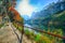 autumn scenery with Dachstein mountain summit reflecting in crystal clear Gosausee mountain lake