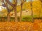 Autumn scenery with a deserted table.