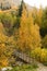 Autumn Scenery in Ile-Alatau National Park, Kazakhstan