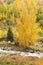 Autumn Scenery in Ile-Alatau National Park, Kazakhstan