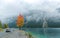 Autumn scenery of Lake Plansee with a car traveling on the highway, a fiery maple tree by lakeside & foggy alpine mountains