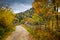 Autumn scenery landscape with colorful forest, wood fence and rural road in Prisaca Dornei