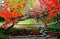 Autumn scenery of maple trees with fiery leaves by the quiet water of a pond with pebble stones in Koishikawa Korakuen
