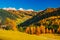 Autumn scenery with mountain hills and yellow trees illuminated by sun. Alta Badia, Dolomite Alps, Italy