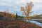 Autumn scenery outdoors in the norwegian wilderness