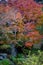 Autumn scenery at the park in Kanazawa, Japan