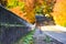 Autumn Scenery Of A Road And Bridge In Gree Moss With Golden Orange And Red Seasonal Foliage In The Background, Washington, USA