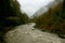 Autumn scenery with rough river, forest and misty mountains