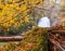 Autumn scenery at Vintgar Gorge in Slovenia.