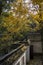 Autumn scenery with yellow leaves in Tiger Hill Scenic Spot in Suzhou, China