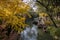 Autumn scenery with yellow leaves in Tiger Hill Scenic Spot in Suzhou, China