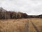 Autumn scenes. A picturesque dirt road in the autumn mixed forest. The hilly terrain was overgrown with withered grass. The road