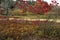 Autumn Scenic @ Dolly Sods