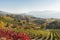 Autumn scenic view of vineyards, lake and mountains