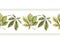 Autumn seamless border light green chestnut leaves. Horizontal stripe with carved fallen leaves. Hand-drawn watercolor.