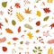 Autumn seamless pattern with fallen tree leaves and sprigs with berries on white background. Colorful natural autumnal