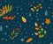 Autumn seamless pattern vector background with color rowan, water drops, fall leaves, floral plants on dark backdrop