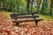 Autumn season empty park bench