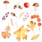 Autumn season forest flora watercolor raster illustrations set