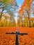 Autumn season in forest red orange leaf`s and bicycle in front point of view.
