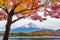 Autumn Season and Fuji mountains at Kawaguchiko lake, Japan