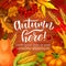 Autumn season harvest, vector holiday poster