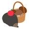 Autumn season icon isometric vector. Hedgehog with red apple and mushroom basket