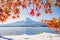 Autumn Season and Mountain Fuji with evening light and red leave