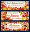 Autumn season welcoming banner with fallen leaf